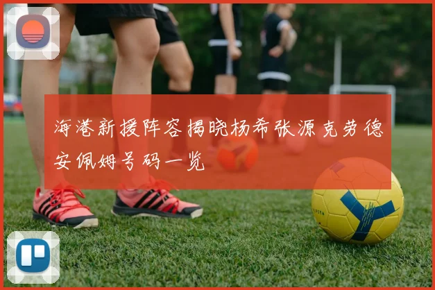 海港新援阵容揭晓杨希张源克劳德安佩姆号码一览